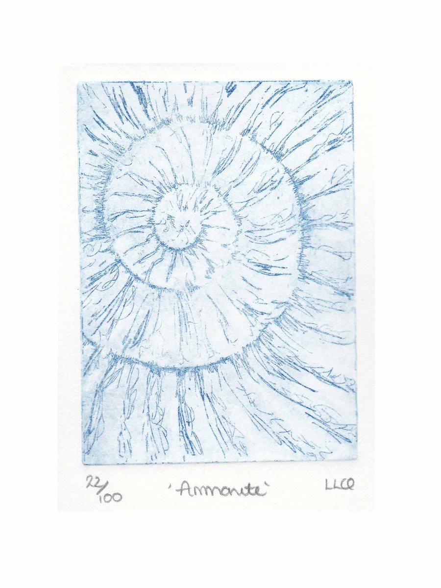 Etching no.22 of an ammonite fossil in an edition of 100
