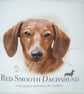 Red  Smooth Dachshund Portrait cushion - Image 2