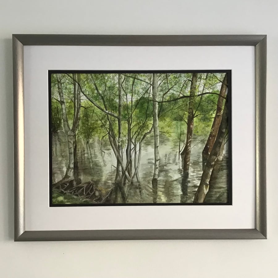 Tree Roots and Trunks