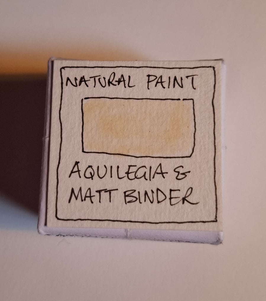 Pot of Handmade Watercolour Paint. Aquilegia Petals