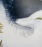 Winter Moon In Wolf, Original Art Print - Image 5
