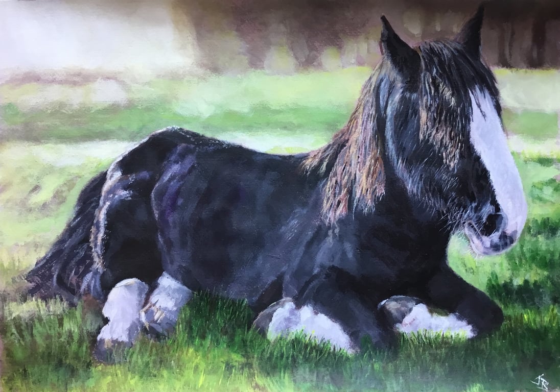 Luxury giclee print of 'Caesar' a Shire horse painting by artist Janet Bird