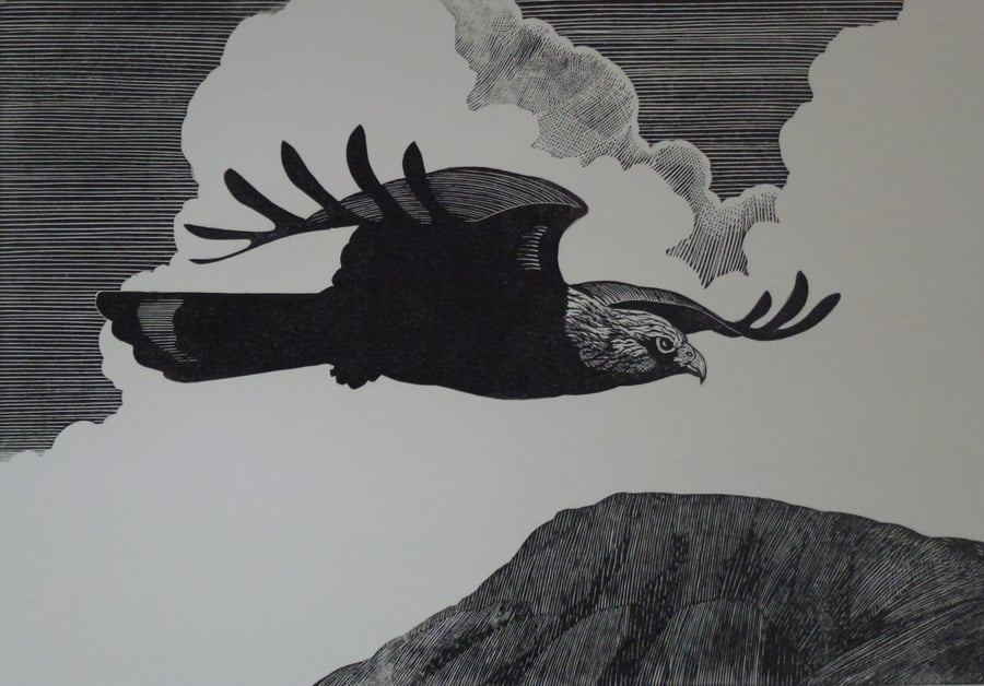 The Last King in Riggindale