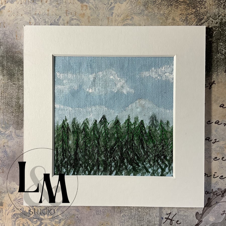 A forest of fir trees