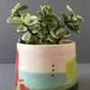 Aloe Vera pot.Pottery wheel.Colourful ceramic.Cactus.Plant pot.Succulent.Beaker.