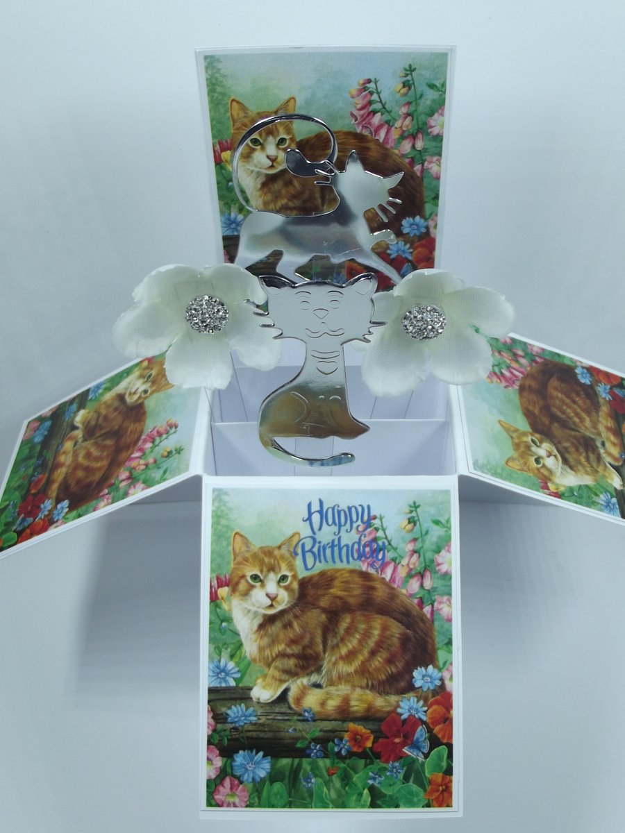 Birthday Card with Ginger Cats