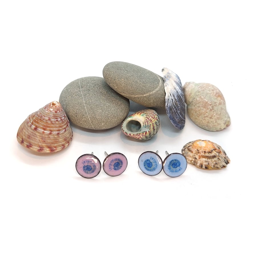 Blue or mauve enamel ammonite round stud earrings
