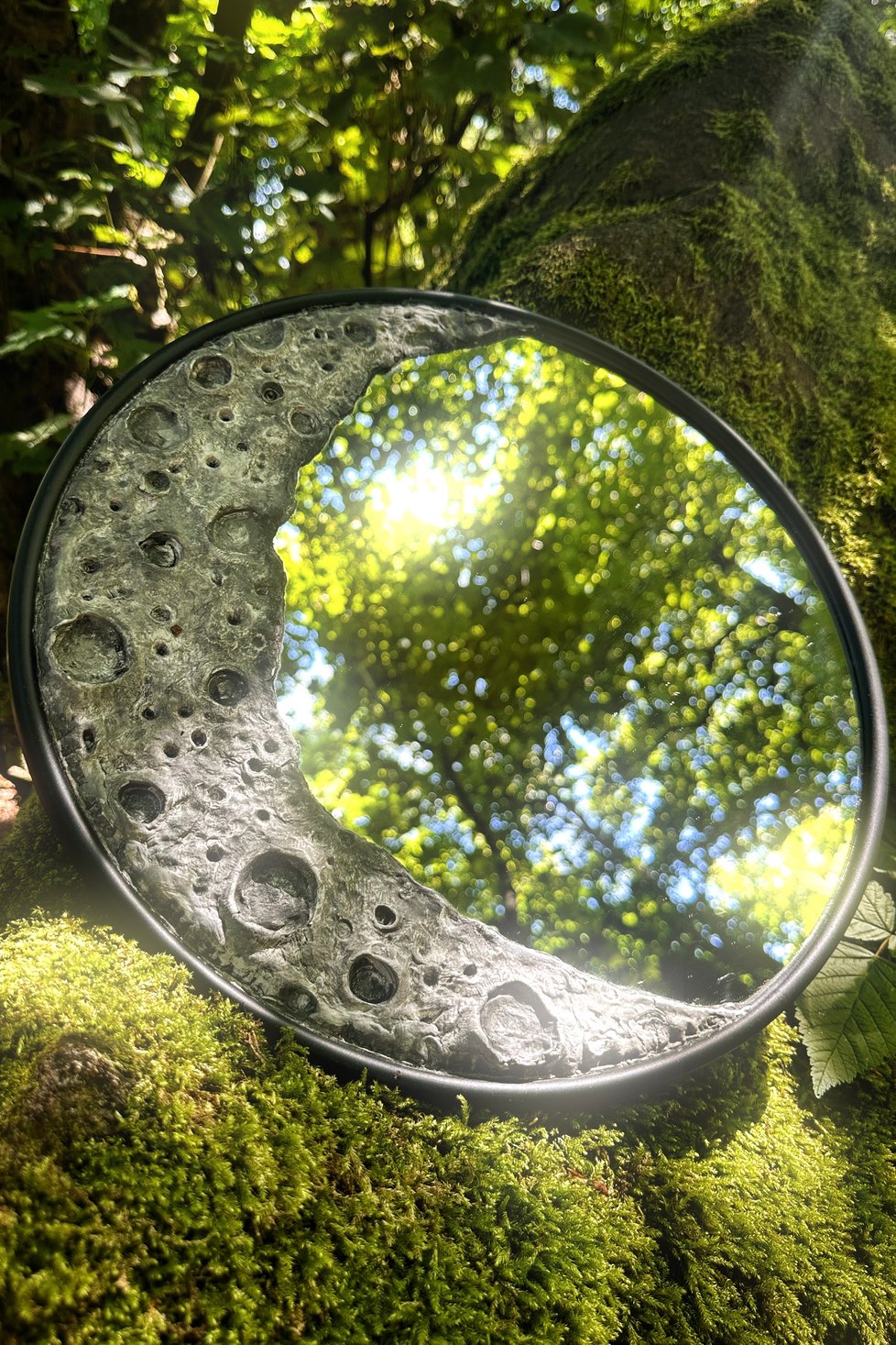 MoonRootMirror
