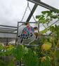 Stained Glass Suncatcher,  Multi Coloured Turtle for Internal Windows - Image 4