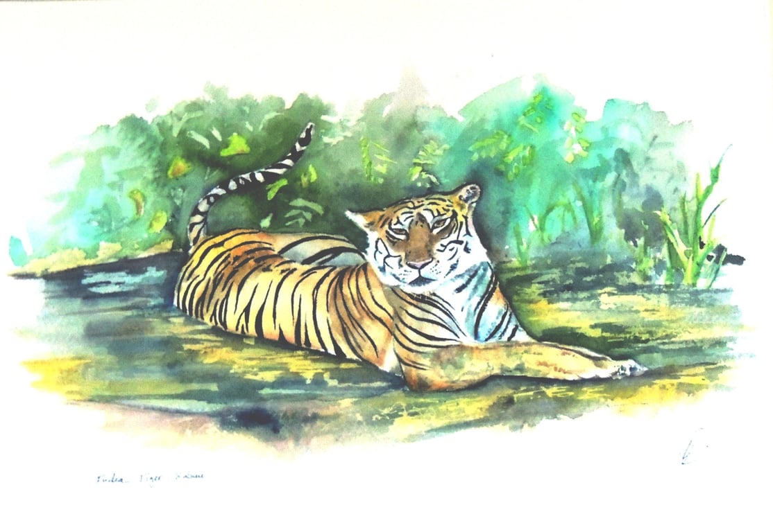  Tiger Watercolour Original Painting 