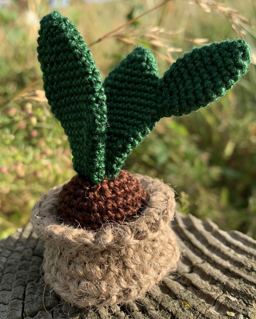 Mini Crochet Cactus