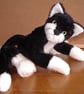 Sewing Pattern for 16" ,or 41cm, jointed, Cat - Image 4