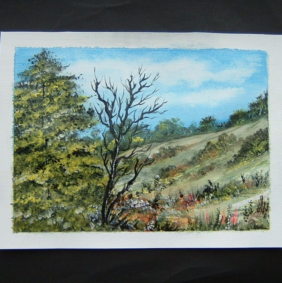 Art painting aceo SFA original paintings Acrylic landscape 41