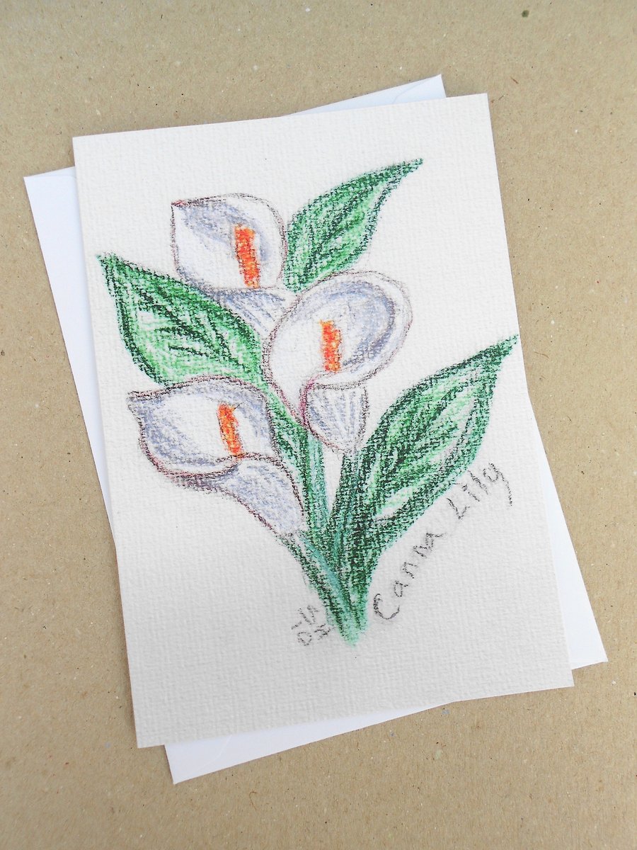 Canna Lily Pastel Card 