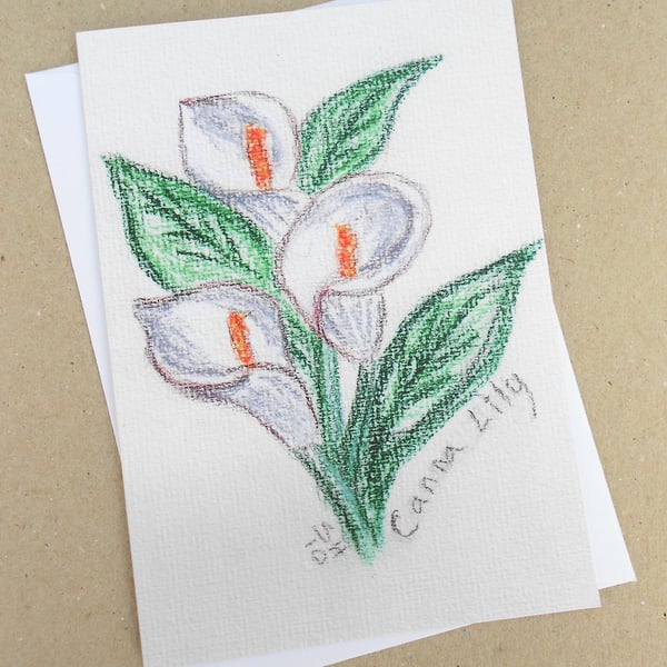 Canna Lily Pastel Card 