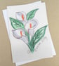 Canna Lily Pastel Card  - Image 1