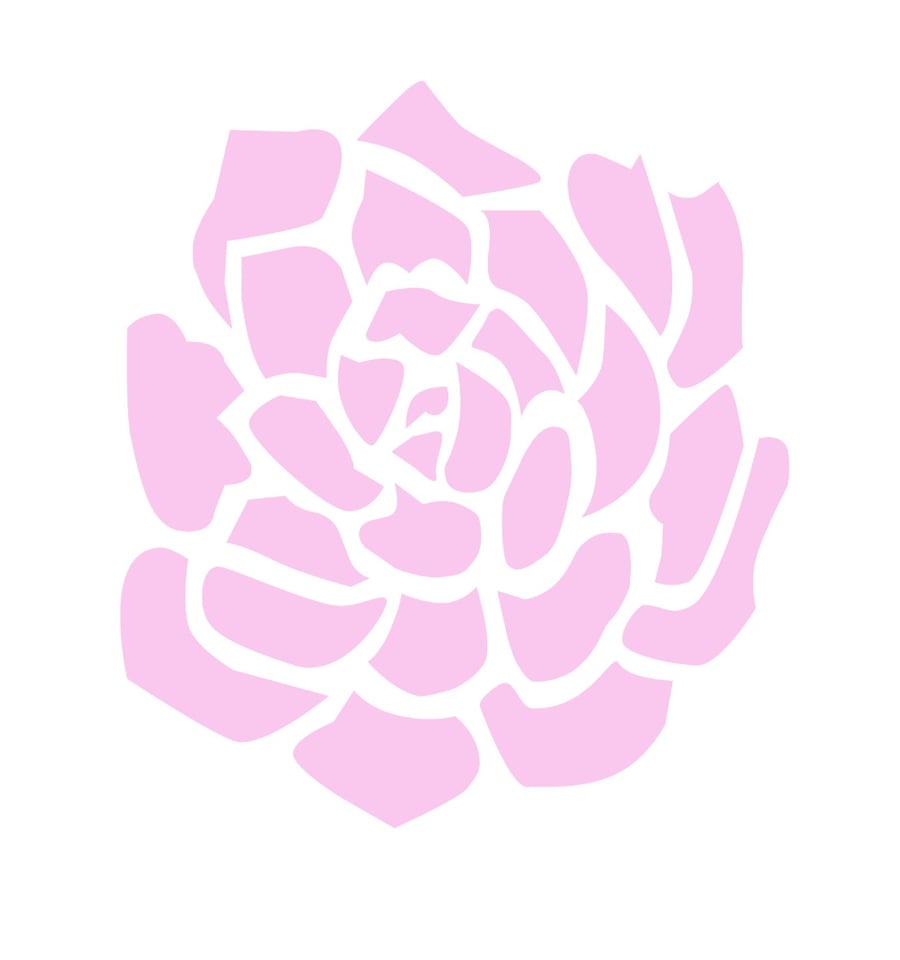 MollyRoseDesigns