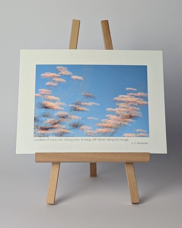 Impressionist Cherry Blossom Photography Print With A.E. Housman Quote