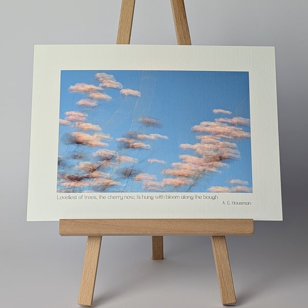 Impressionist Cherry Blossom Photography Print With A.E. Housman Quote