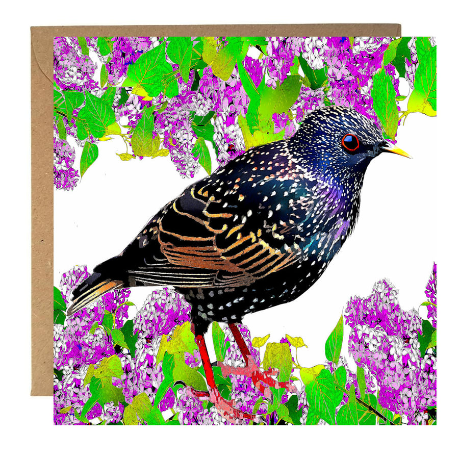 Starling in Pink Flowers Greeting Card