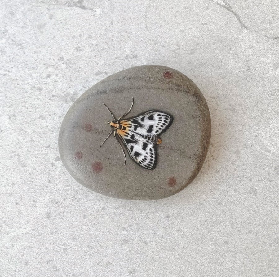 Moth Art Hand Painted Stone Pebble 'Small Magpie Moth'