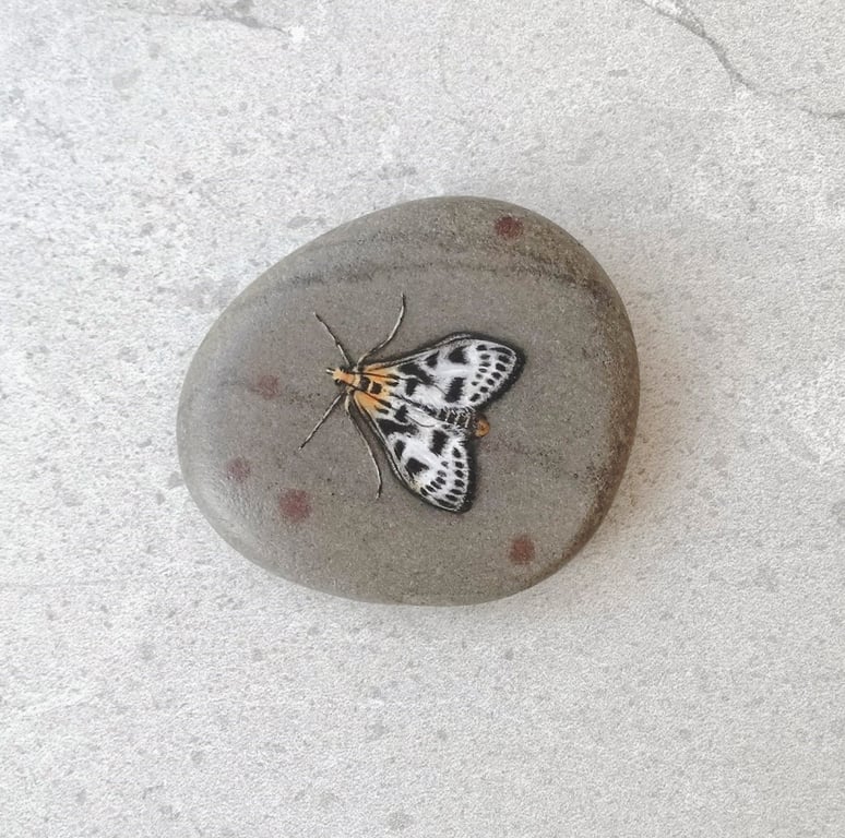 Moth Art Hand Painted Stone Pebble 'Small Magpie Moth'