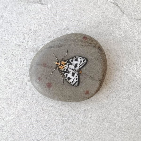 Moth Art Hand Painted Stone Pebble 'Small Magpie Moth'