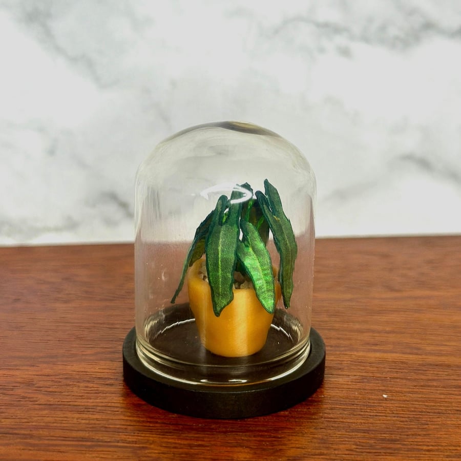 Handmade Miniature Alocassia Plant in a bell jar, 1:12 Dollhouse plant