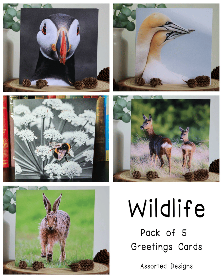 Wildlife - Pack of 5 Greetings Cards - Assorted Designs 