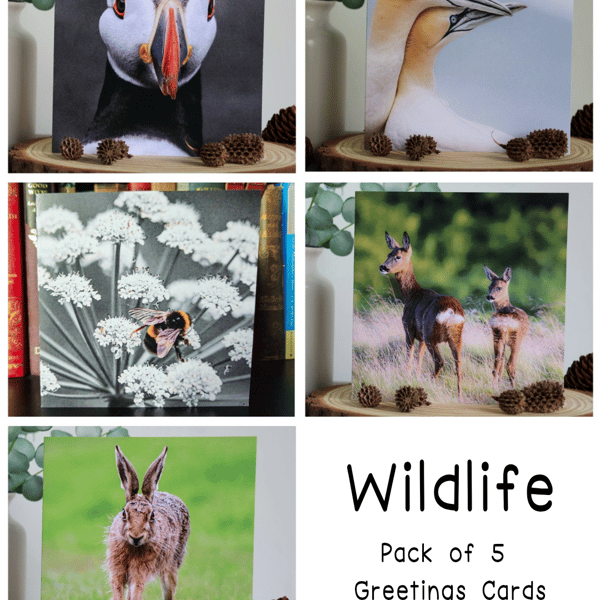 Wildlife - Pack of 5 Greetings Cards - Assorted Designs 