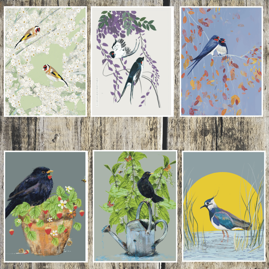  Bird Blank Art Card Set