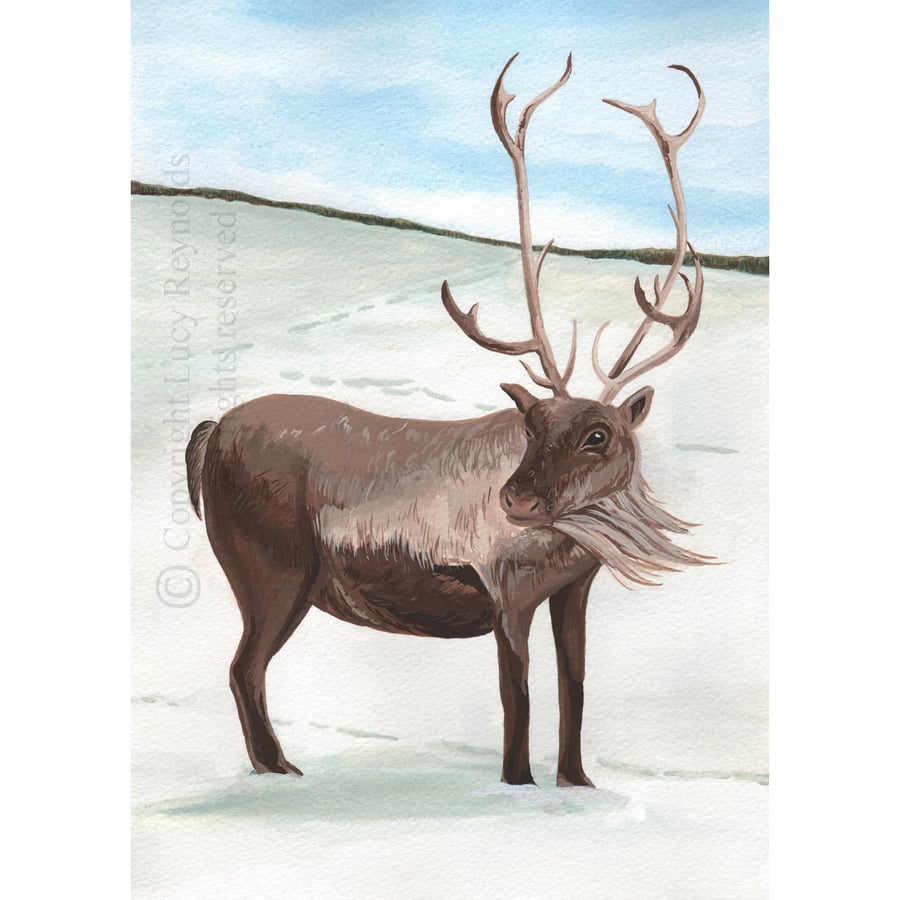 Reindeer Christmas Card (A6 single)