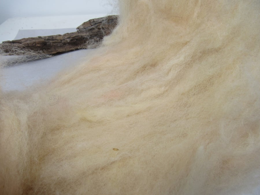 10g Naturally Dyed Pale Peach Llanwenog Felting Wool