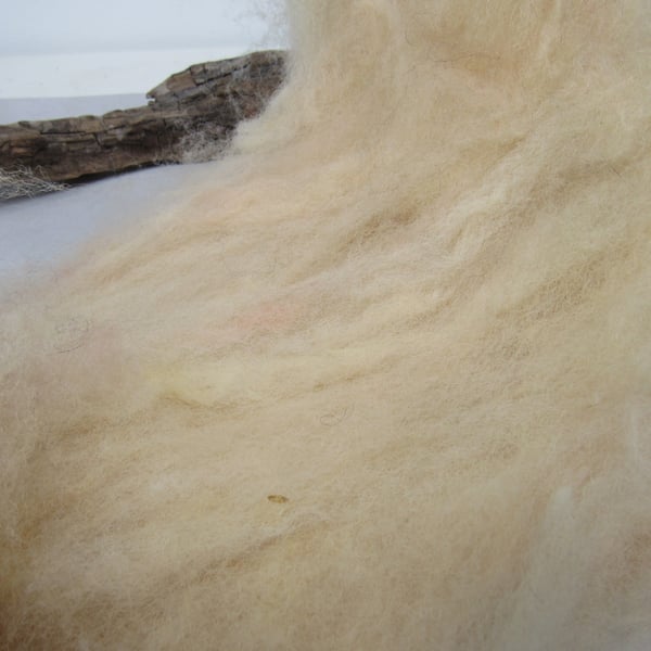 10g Naturally Dyed Pale Peach Llanwenog Felting Wool