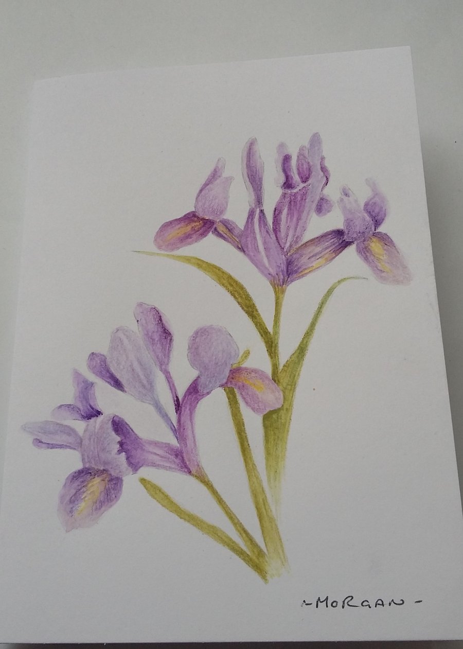 HAND PAINTED WATER COLOUR CARD WITH IRISES