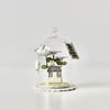 'How does your Garden Grow? 1'- Glass Dome Decoration
