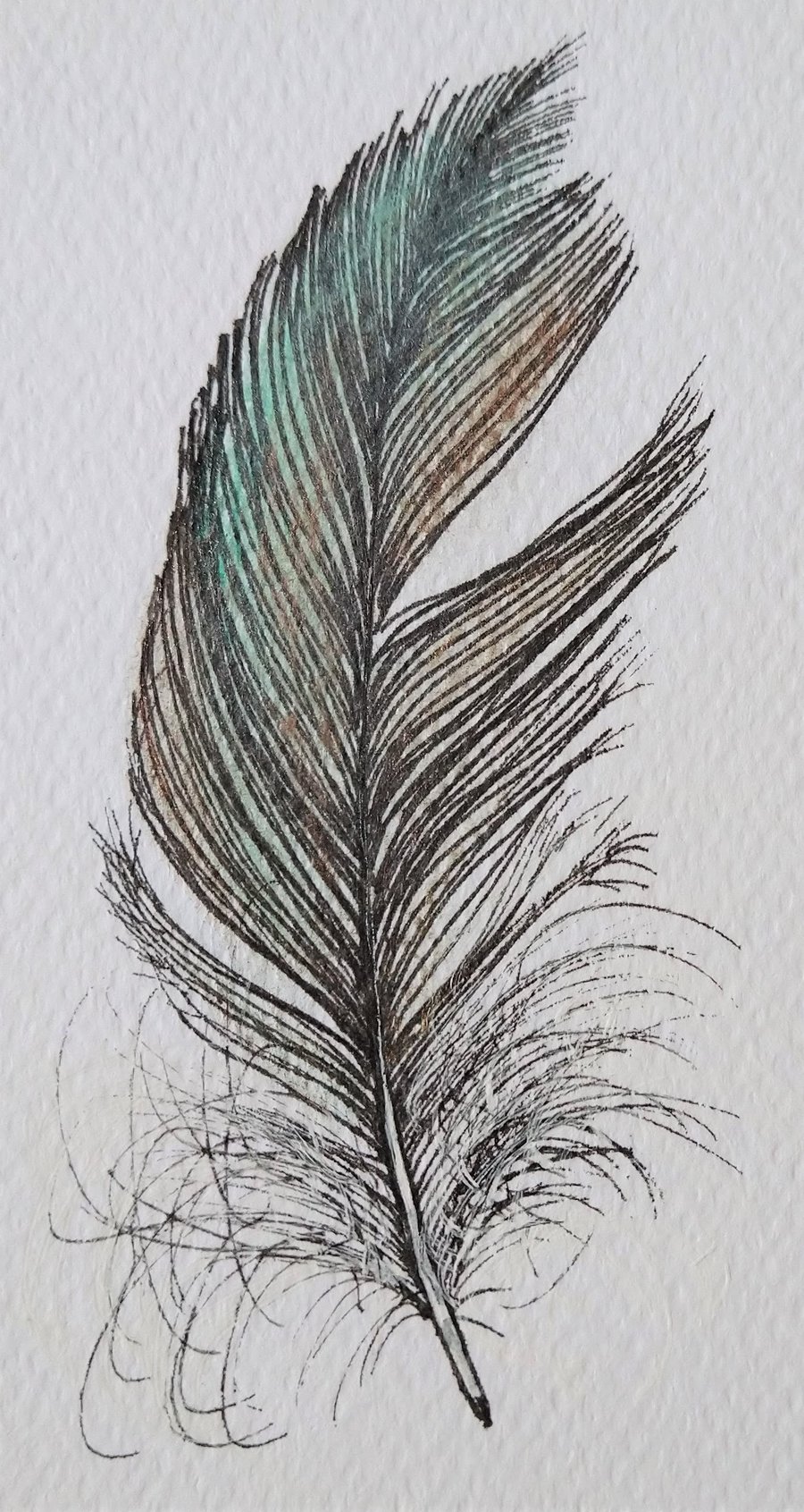 Small Feather Original Drawing