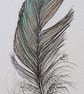 Small Feather Original Drawing - Image 1