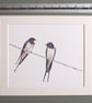 Two Swallows Fine Art Print - Image 3