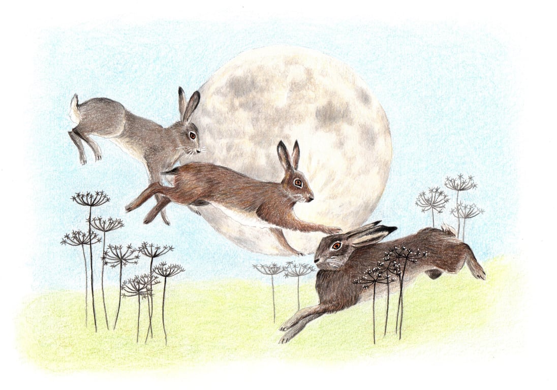 Hares Dancing in Front of the Full Moon pack of 6 cards