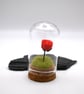small orange glass rose gift