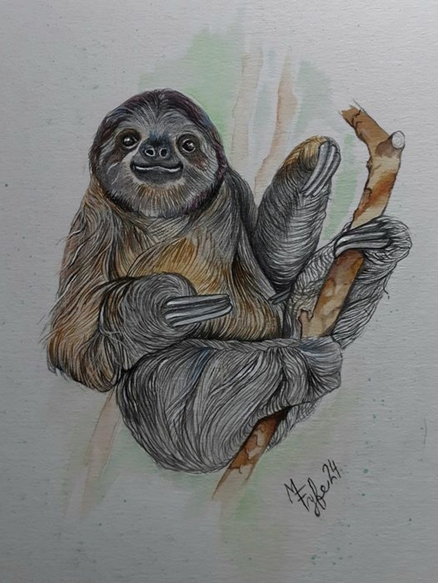 Sloth painting (WWF) 