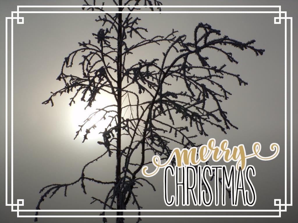 Merry Christmas greeting Card A5 Frosty Morning Norfolk 