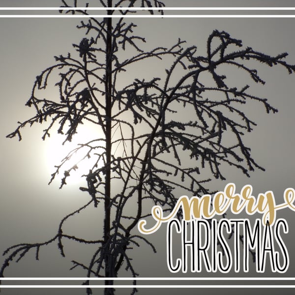 Merry Christmas greeting Card A5 Frosty Morning Norfolk 