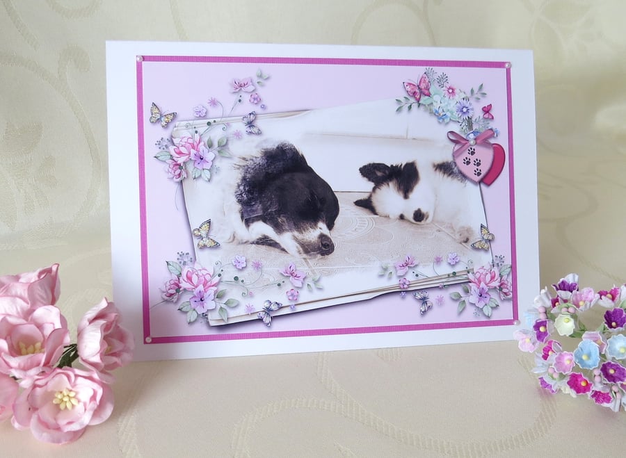 Border Collies Greeting Card