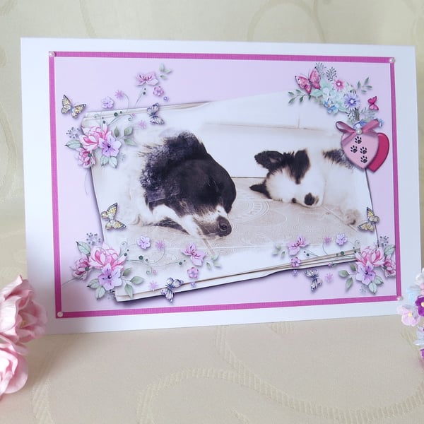 Border Collies Greeting Card