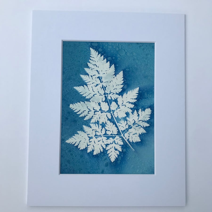 Botanical Cyanotype Photogram- full of love and beauty