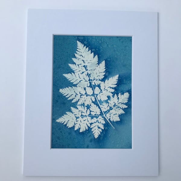 Botanical Cyanotype Photogram- full of love and beauty