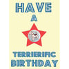 Have a Terrierific Birthday Card - Fox Terrier