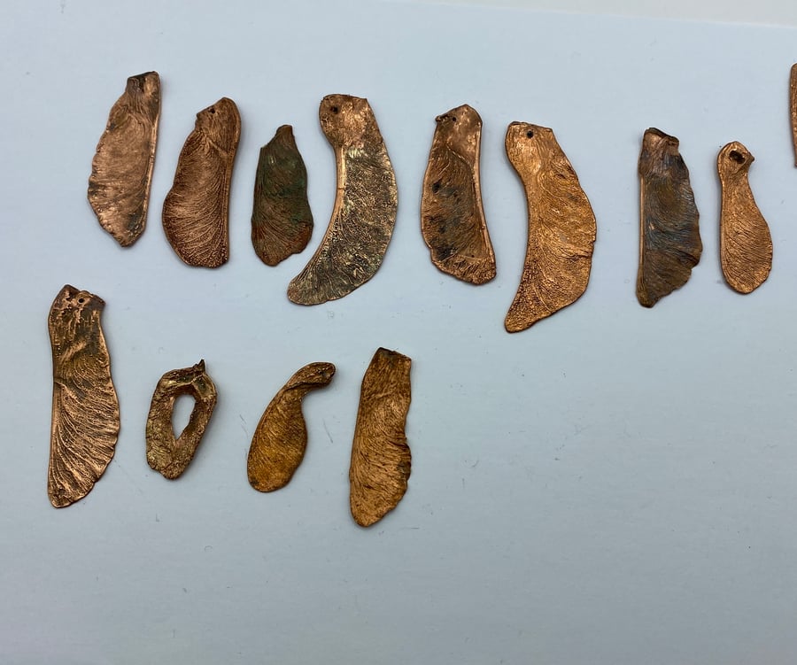 Seconds Sunday, assorted maple and sycamore seeds, job lot